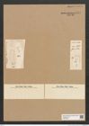 Diatomeae indet. Zeichnungen Sammlung Grunow Nr. 6575 (NHMW-BOT-W0375316)